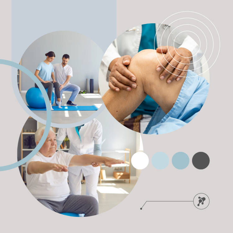 Фитокрем-бальзам (Крем для суставов, фитокрем) для суставов, локтей 250 мл. DctrGo  в Рязани